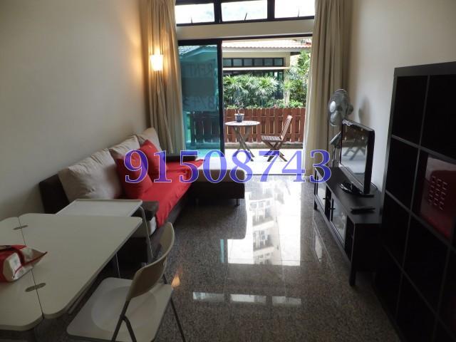 Nineteen Shelford Road (D11), Condominium #159155892